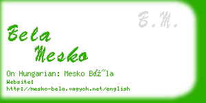 bela mesko business card